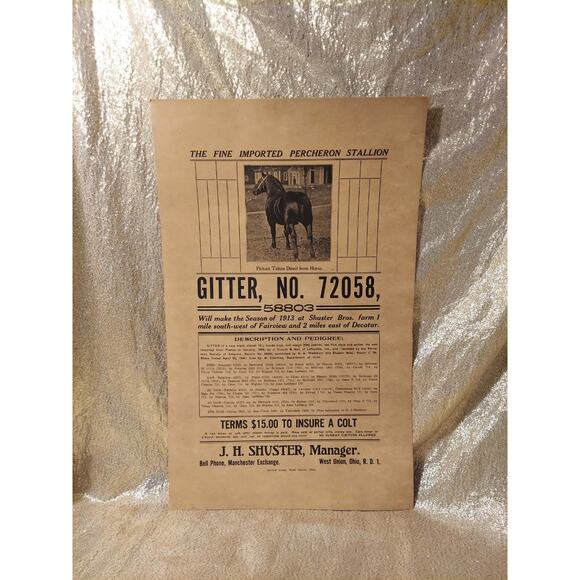 RARE 1913 Percheron Stallion Horse Breeding Stud Ad Rural Ohio Poster Pedigree